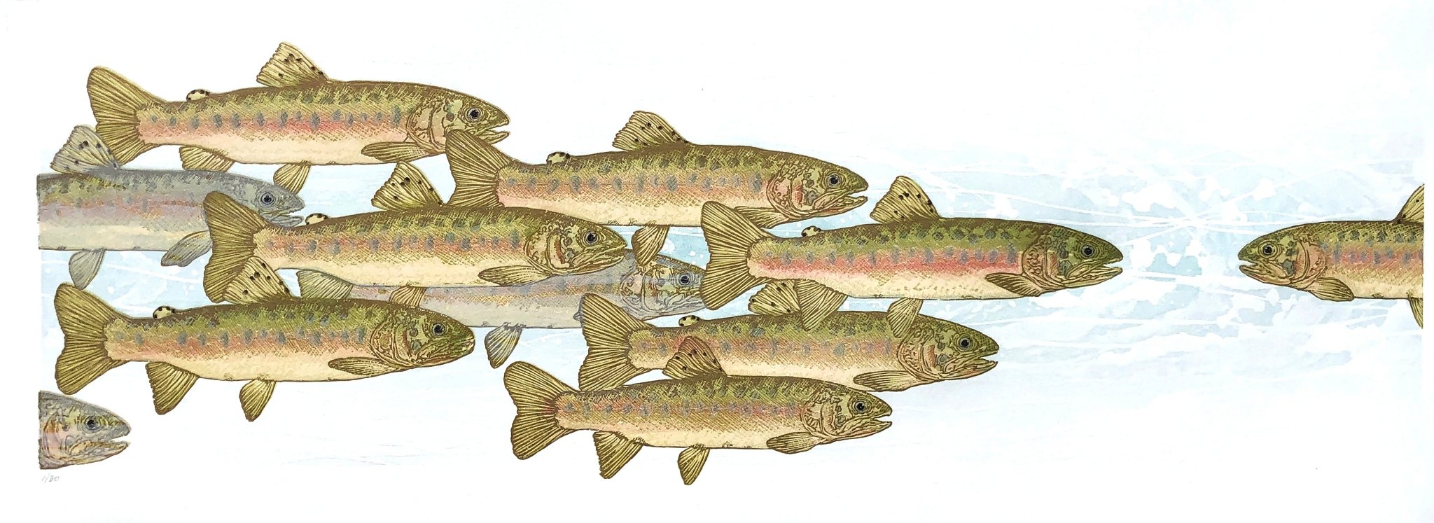 Swimming Upstream - by artist Monique Wales – Turner Fine Art