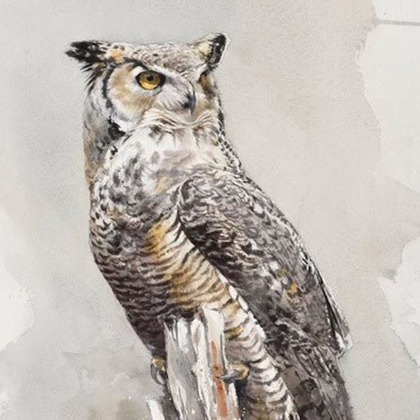 The All Knowing - by artist Gunnar Tryggmo – Turner Fine Art