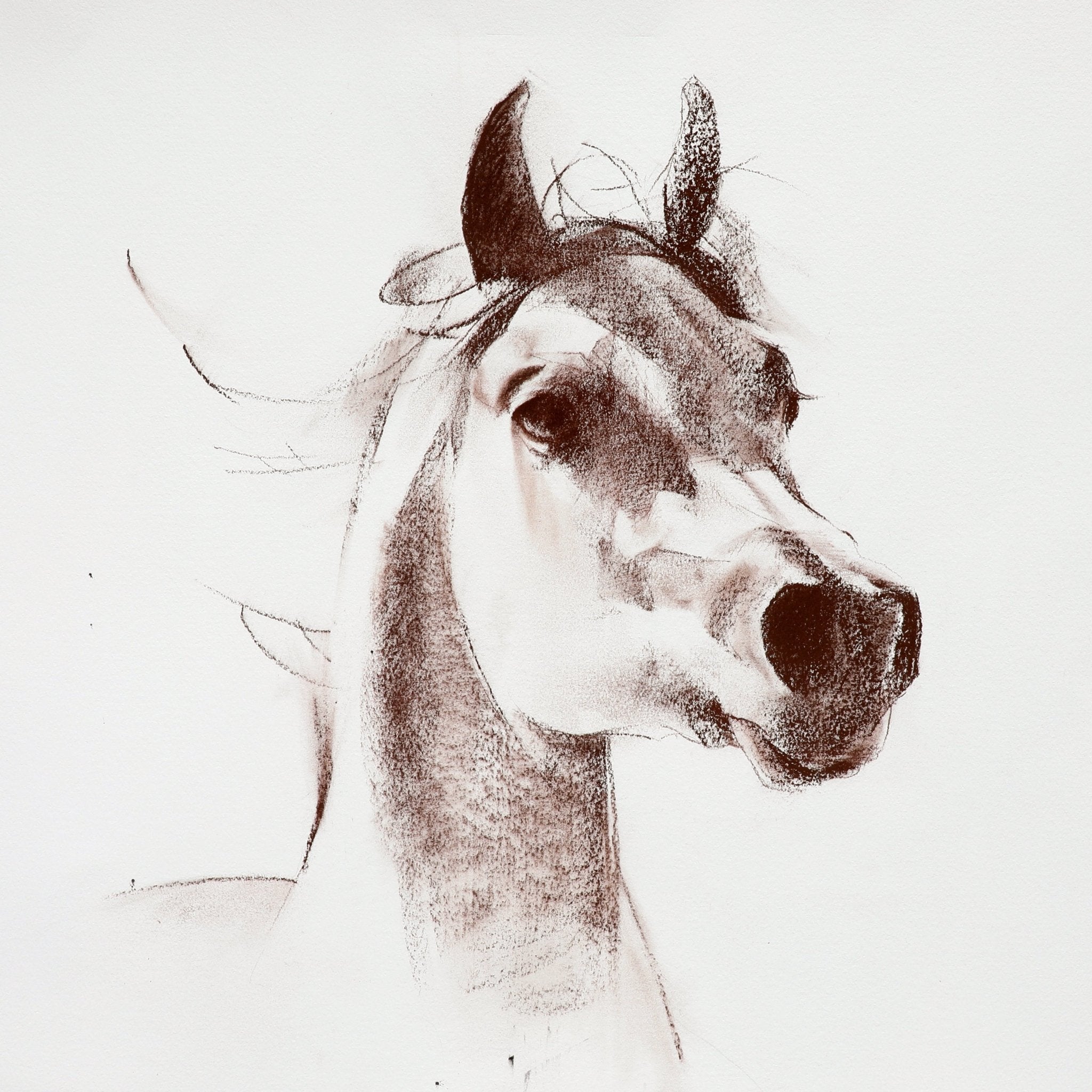 The Wind Knows My Name - by artist Kathryn Mapes Turner – Turner Fine Art