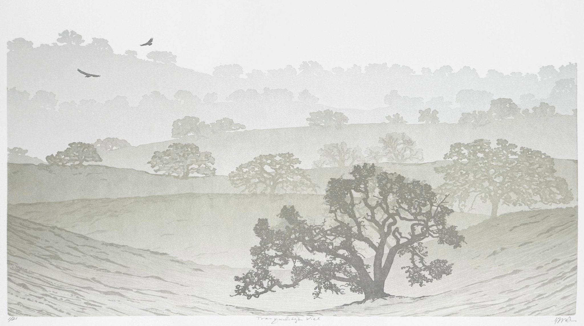 Tranquility's Veil - by artist Monique Wales – Turner Fine Art