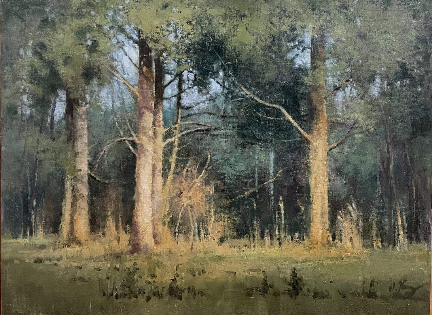 Trees Of Grandeur - by artist Shanna Kunz – Turner Fine Art