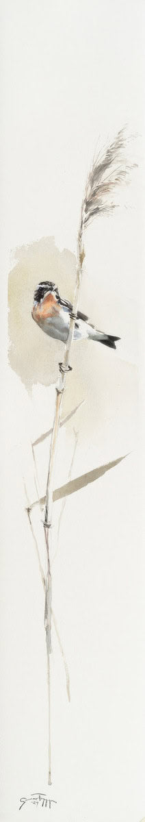 Winchat - by artist Gunnar Tryggmo – Turner Fine Art