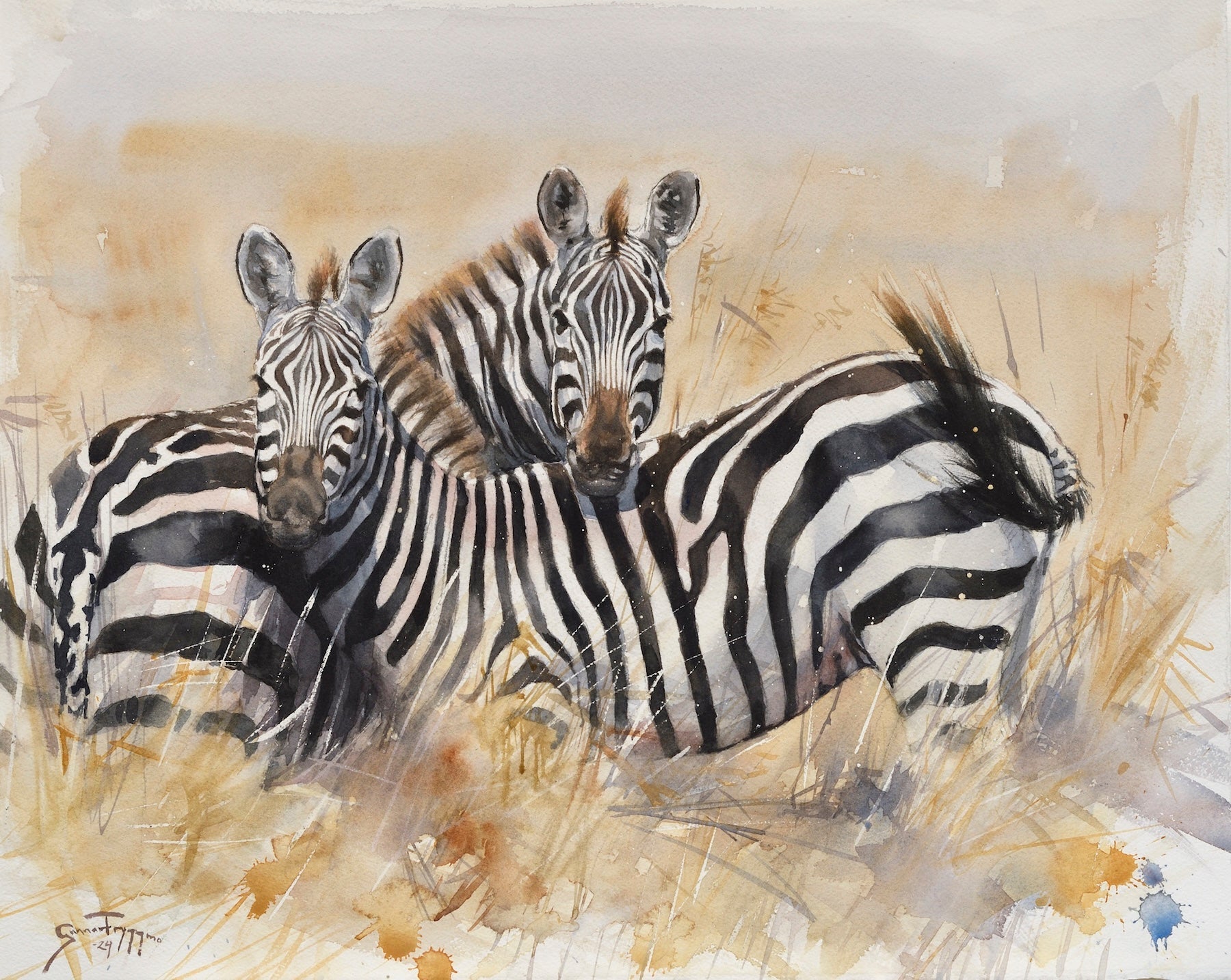 Zebras of Masai Mara - by artist Gunnar Tryggmo – Turner Fine Art