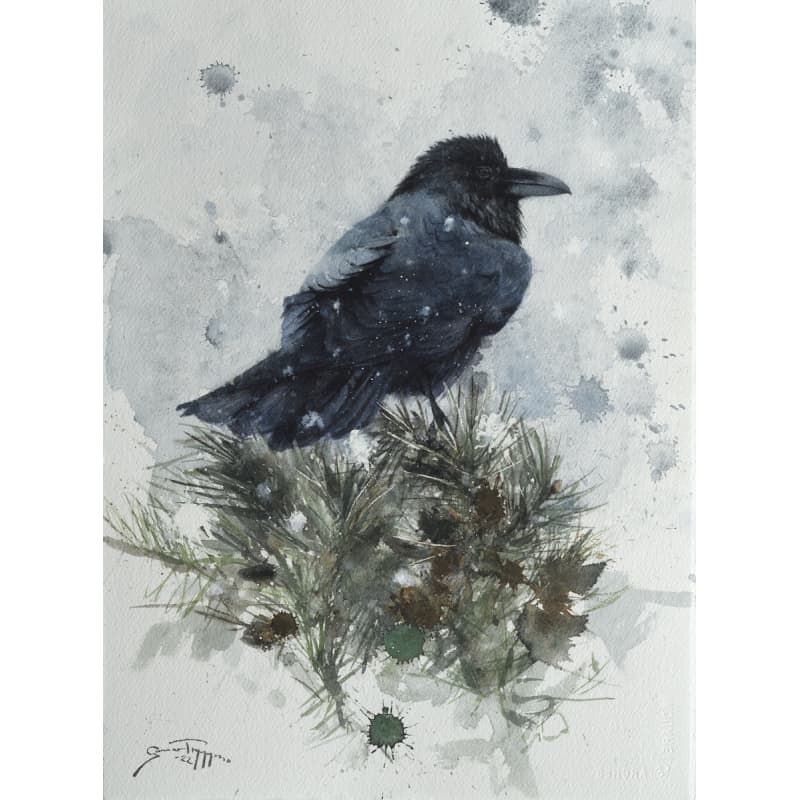 Snowy Raven