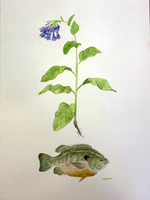 Potomac Blue | 11 x 14 | watercolor | Paul Rhymer | $1,700